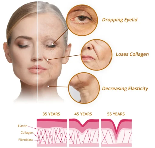 Newyuo™ Cordyceps Firming Repair Serum